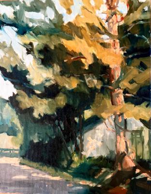“Pine Bough Lane” “Pine Bough Lane”